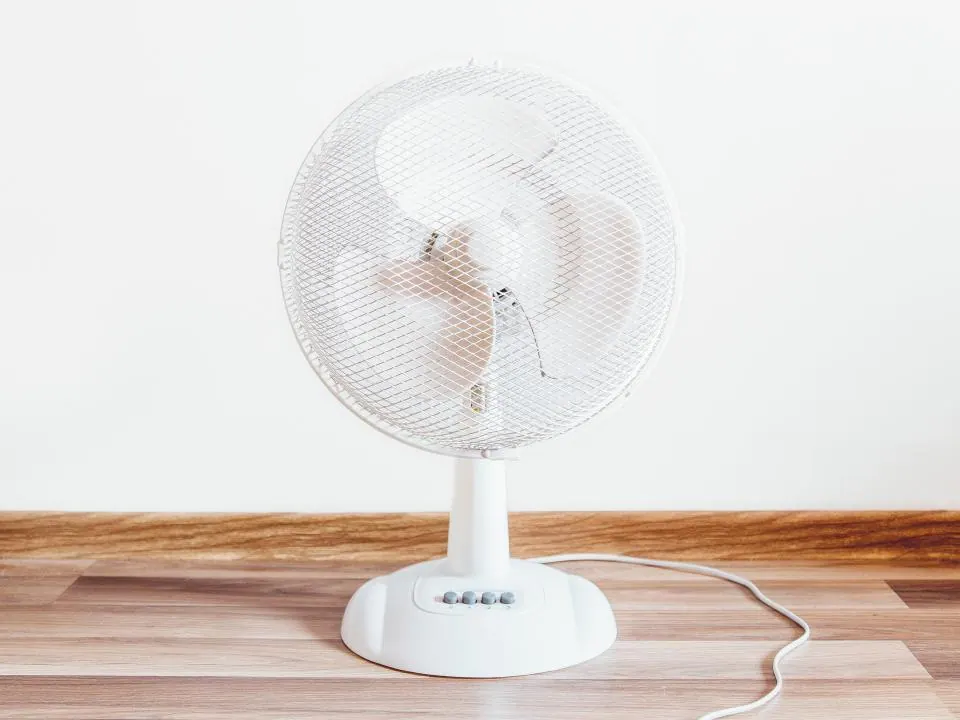 White Fan