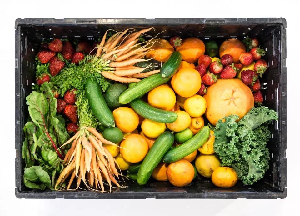 Fruit Vegetables