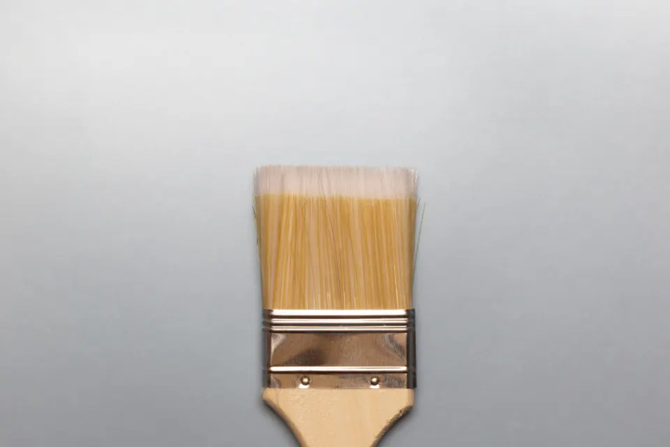 Paint Brush