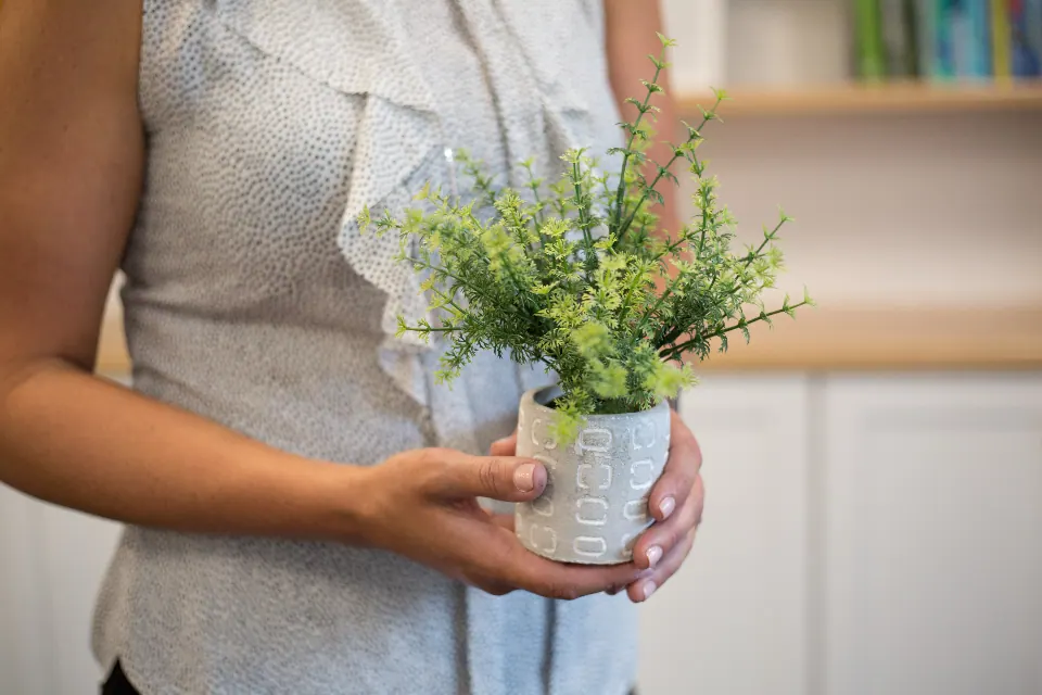 Holding Plant