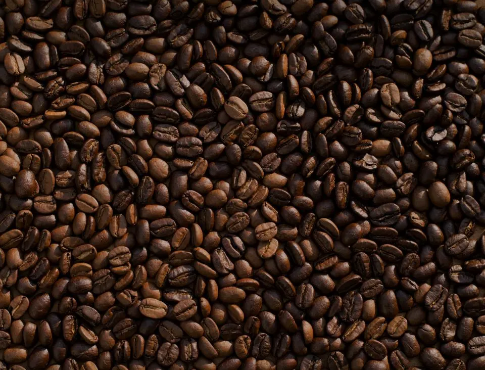 Coffee Beans