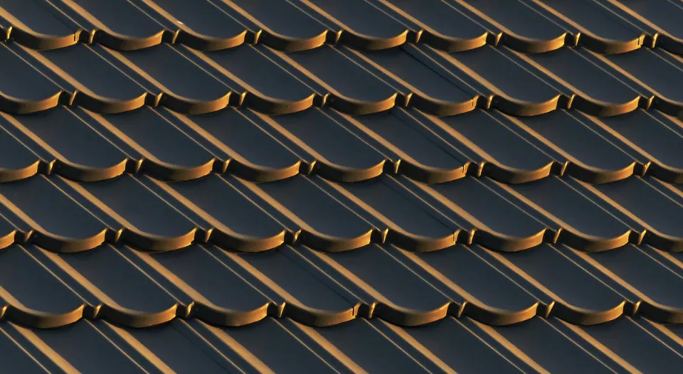 Roof Shingle