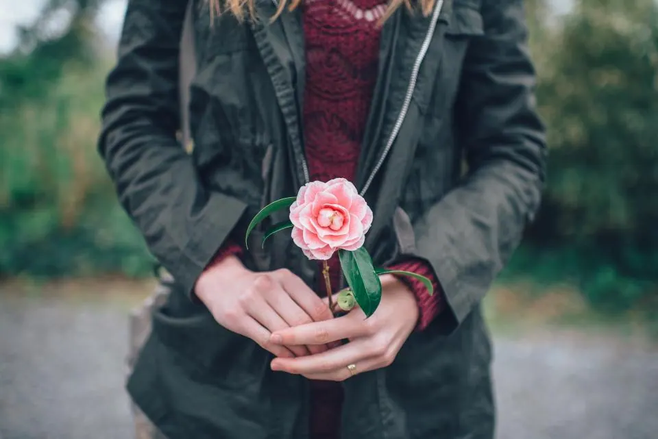 Pink Flower