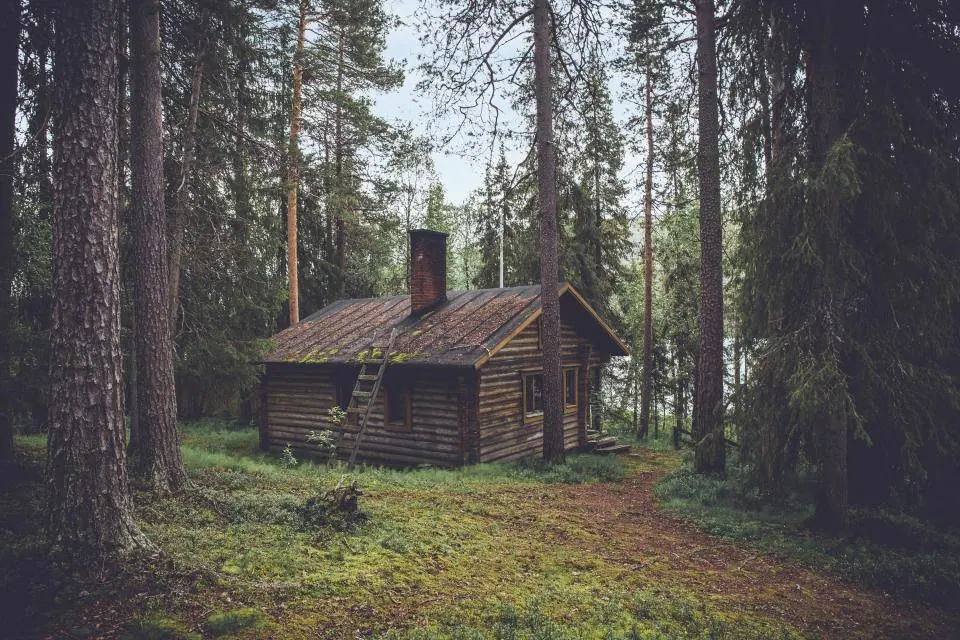 Wood Logs